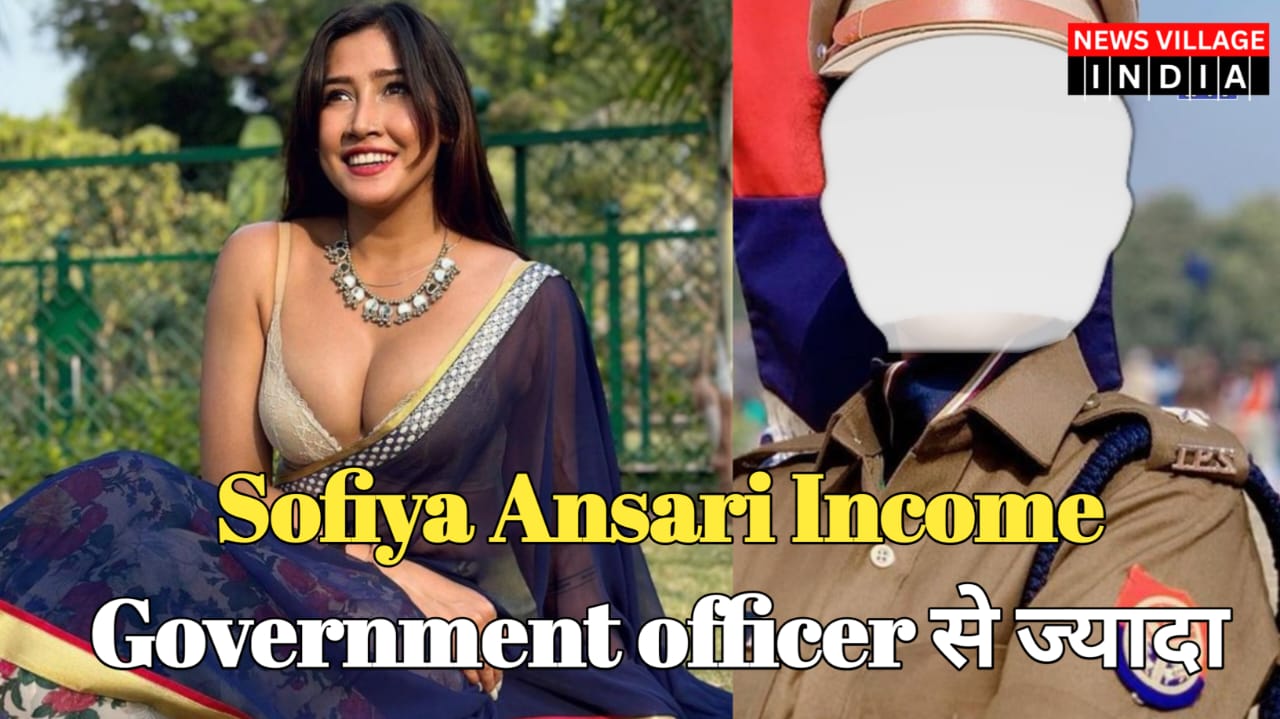 sofiya-ansari-income