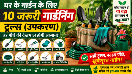 Best Gardening Tools for Home Garden in India