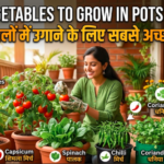 Best Vegetables to Grow in Pots at Home घर पर गमलों में उगाने के लिए सबसे अच्छी सब्जियां