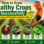How to Grow Healthy Crops Successfully स्वस्थ फसल उगाने का संपूर्ण तरीका