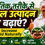 How to Increase Crop Yield Naturally प्राकृतिक तरीके से फसल उत्पादन कैसे बढ़ाएं