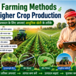 Top Farming Methods for Higher Crop Production अधिक फसल उत्पादन के लिए अपनाएं ये बेहतरीन खेती के तरीके