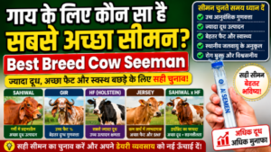 Best Breed Cow Seeman: गाय में कौन सा सीमन सबसे अच्छा है? जानिए Sahiwal, Gir, HF और Jersey में अंतर
