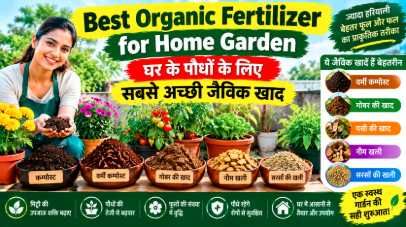 Best Organic Fertilizer for Home Garden: घर के पौधों के लिए सबसे अच्छी जैविक खाद