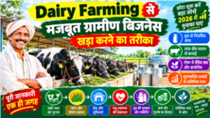 Dairy Farming से मजबूत ग्रामीण बिजनेस खड़ा करने का तरीका