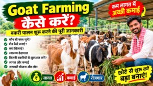Goat Farming कैसे करें? बकरी पालन शुरू करने की पूरी जानकारी