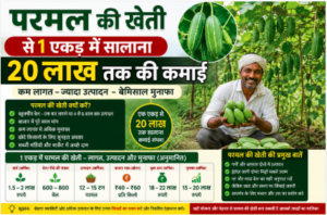 Parwal Farming: परवल की उन्नत खेती, फसल प्रबंधन और कमाई की पूरी जानकारी