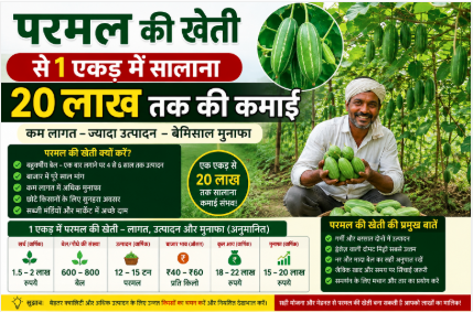 Parwal Farming: परवल की उन्नत खेती, फसल प्रबंधन और कमाई की पूरी जानकारी