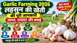 Garlic Farming 2026: लहसुन की खेती की पूरी जानकारी, लागत, उत्पादन और कमाई