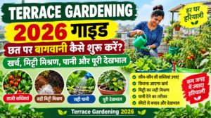 Terrace Gardening 2026 Guide: छत पर बागवानी कैसे शुरू करें, खर्च, मिट्टी मिश्रण, पानी और पूरी देखभाल